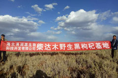 牧區(qū)環(huán)境